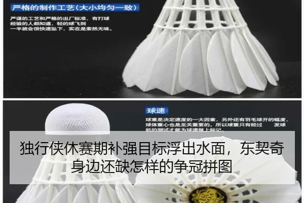 独行侠休赛期补强目标浮出水面，东契奇身边还缺怎样的争冠拼图 | kaiyun